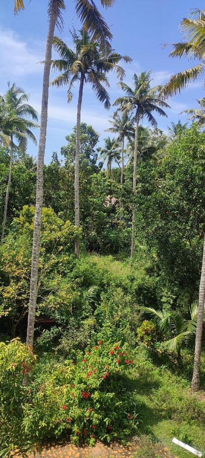 Baba Luru's Apartment Varkala Bagian luar foto